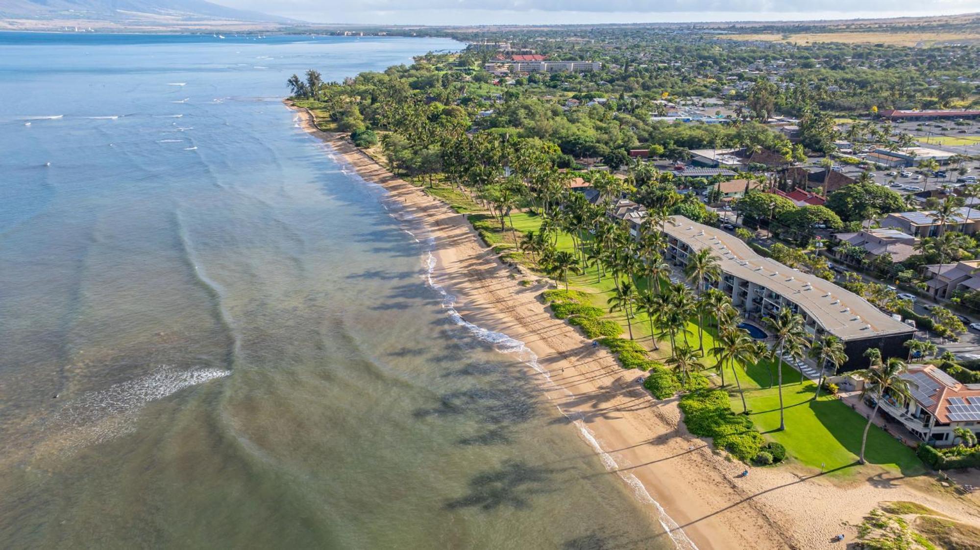 Hale Kai O'Kihei 317 Διαμέρισμα Εξωτερικό φωτογραφία