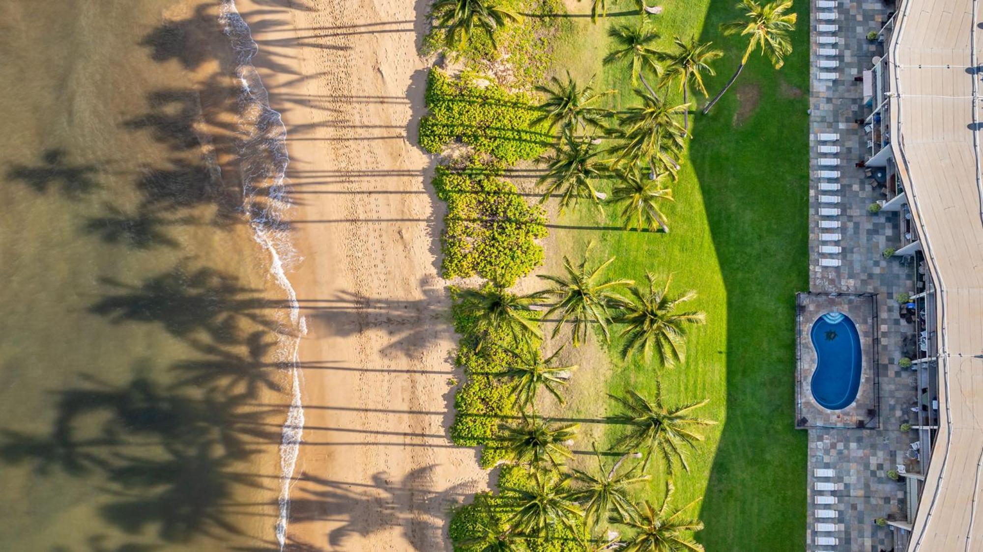 Hale Kai O'Kihei 317 Διαμέρισμα Εξωτερικό φωτογραφία