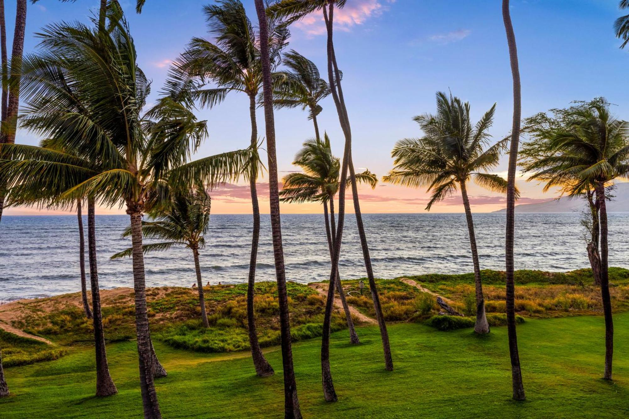 Hale Kai O'Kihei 317 Διαμέρισμα Εξωτερικό φωτογραφία