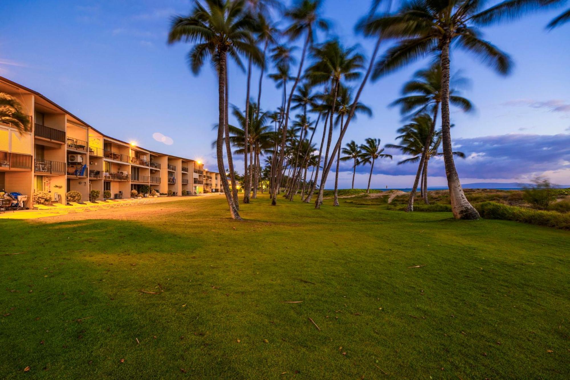 Hale Kai O'Kihei 317 Διαμέρισμα Εξωτερικό φωτογραφία